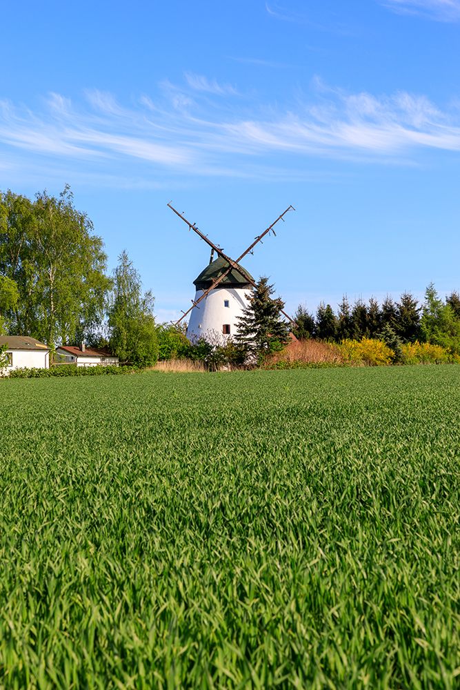 Poland, Kolobrzeg. Pomerania. Windmill. art print by Emily M. Wilson for $57.95 CAD