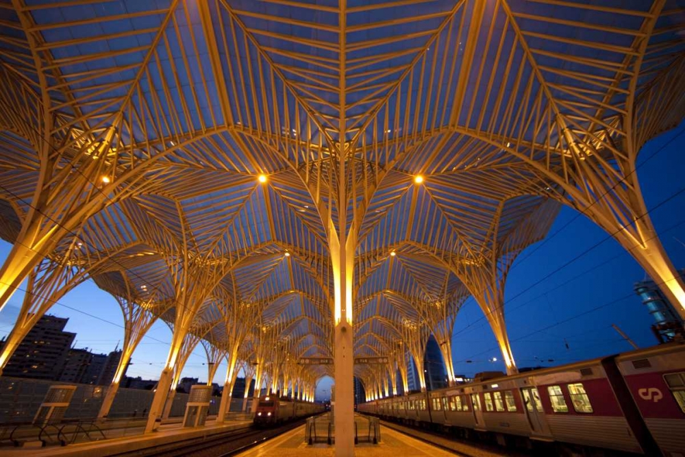 Portugal, Lisbon Oriente Train Station at night art print by Jim Zuckerman for $57.95 CAD