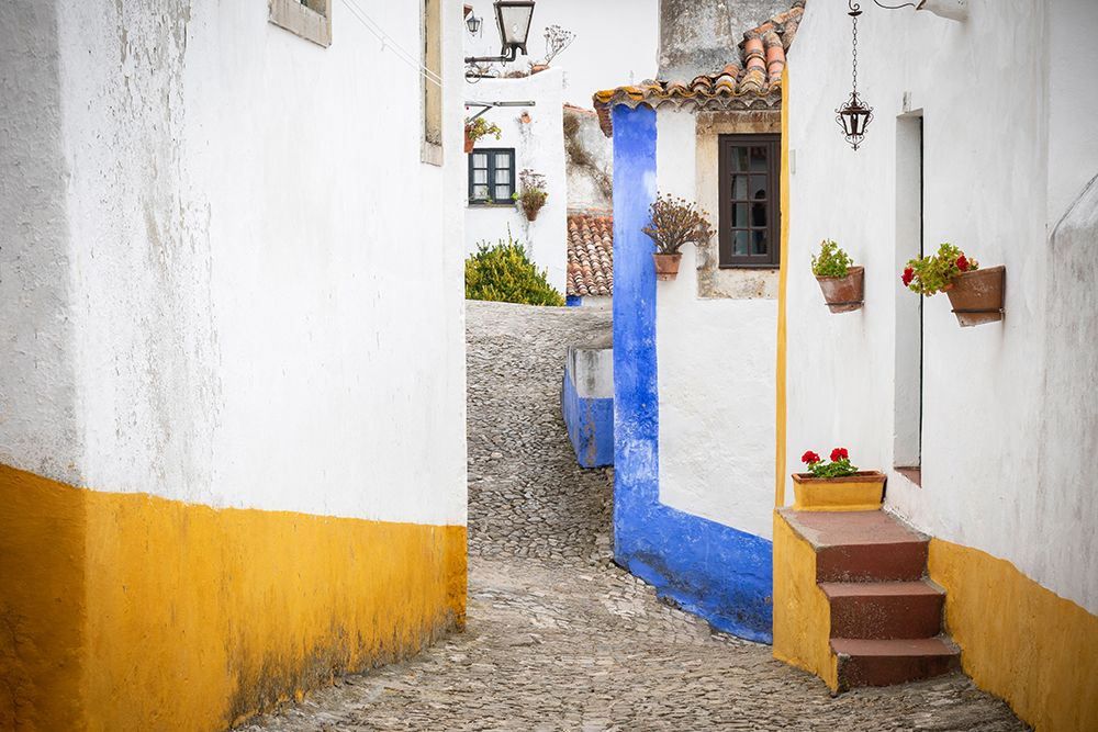 Europe-Portugal-Obidos-Houses on cobblestone street art print by Jaynes Gallery for $57.95 CAD