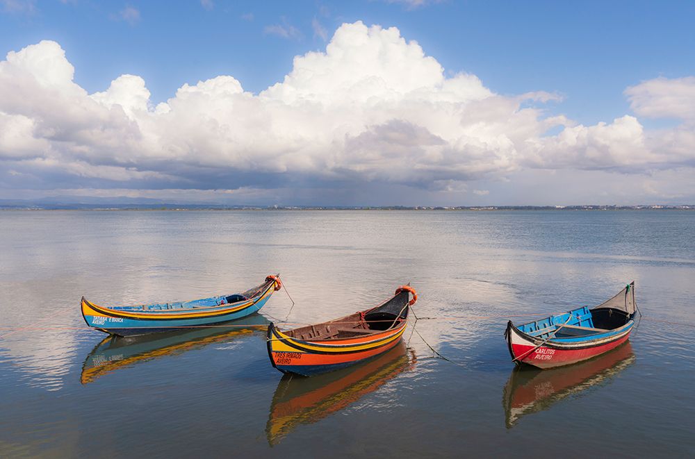 Europe-Portugal-Aveiro Lagoon-Traditional fishing boats moored in water art print by Jaynes Gallery for $57.95 CAD