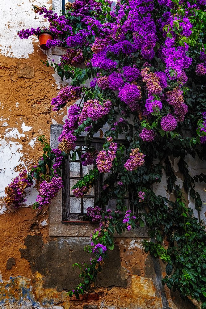 The medieval castle of Obidos, Portugal art print by Chuck Haney for $57.95 CAD