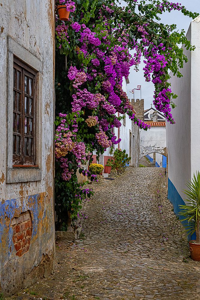 The medieval castle of Obidos, Portugal art print by Chuck Haney for $57.95 CAD