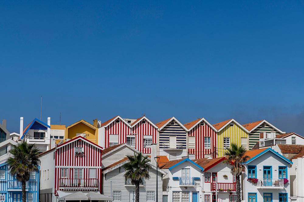 Colorful striped houses at Cost Nova, Portugal art print by Chuck Haney for $57.95 CAD