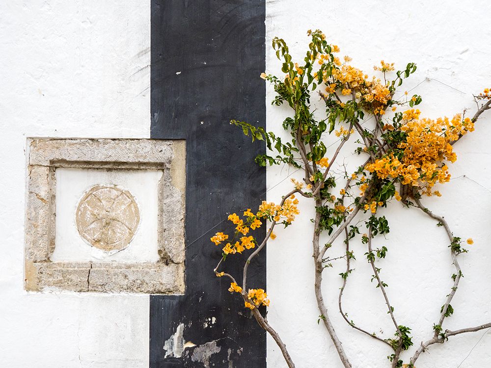 Portugal-Obidos-Orange bougainvillea growing against a wall and carved sculpture on wall art print by Julie Eggers for $57.95 CAD