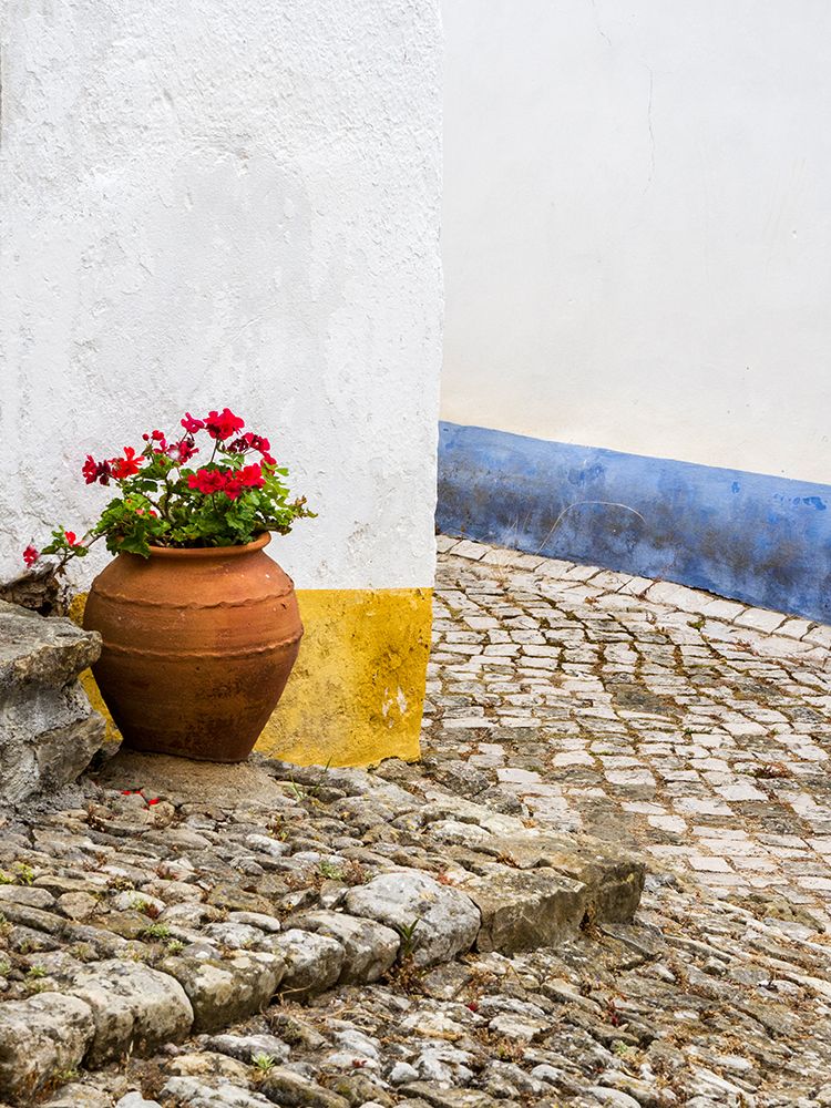 Portugal-Obidos-Red geranium growing in a terra cotta pot next to the entrance of a home in the his art print by Julie Eggers for $57.95 CAD