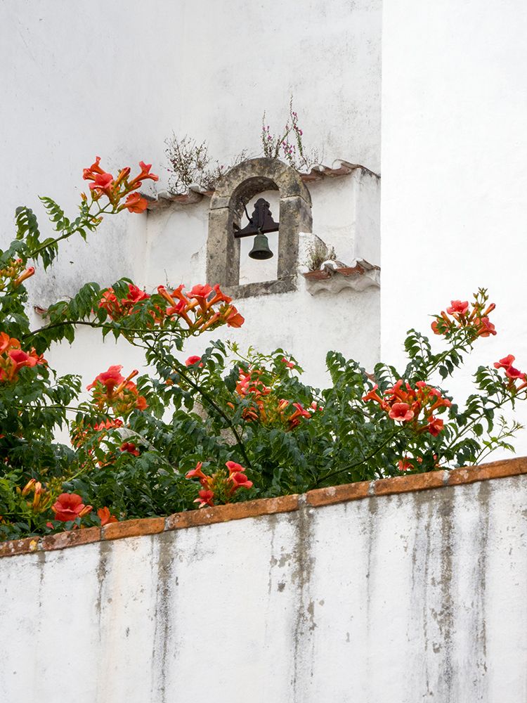 Portugal-Obidos-Orange trumpet vine growing below a church bell in the medieval village of Obidos art print by Julie Eggers for $57.95 CAD