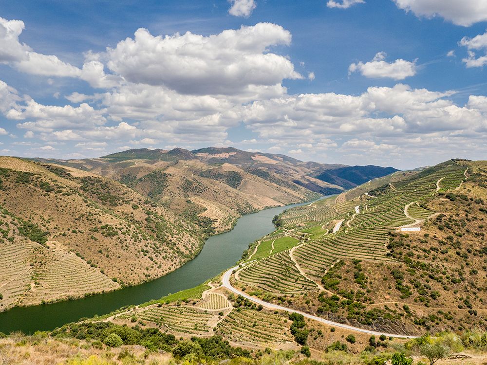 Portugal-Douro Valley-Douro River in the Portugal wine region and vineyards on hills along Douro Ri art print by Julie Eggers for $57.95 CAD