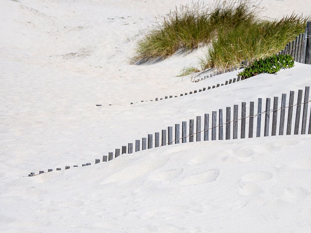 Portugal-Costa Nova-Beach grass-sand and old fence line at the beach resort of Costa Nova near Avei art print by Julie Eggers for $57.95 CAD