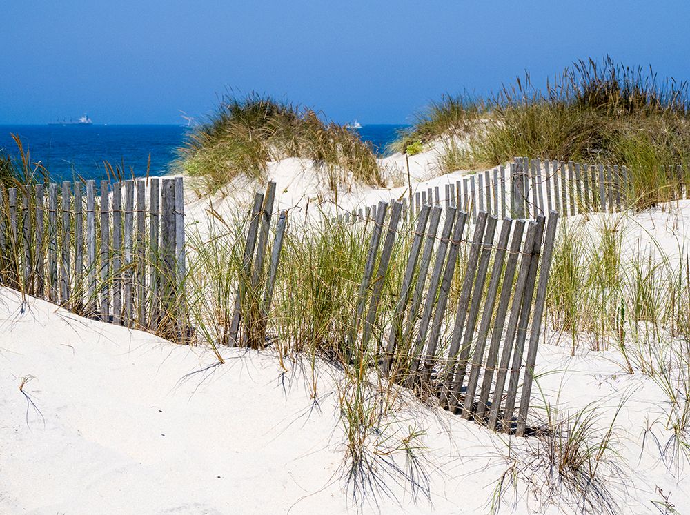 Portugal-Costa Nova-Beach grass-sand and old fence line at the beach resort of Costa Nova near Avei art print by Julie Eggers for $57.95 CAD