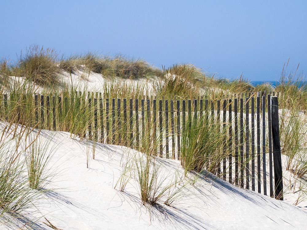 Portugal-Costa Nova-Beach grass-sand and old fence line at the beach resort of Costa Nova near Avei art print by Julie Eggers for $57.95 CAD