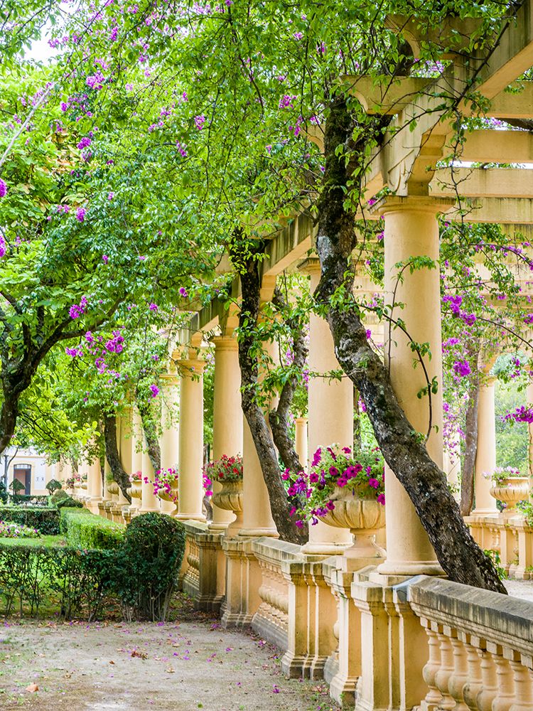 Portugal-Aveiro-Parque Dom Pedro Infante in Aveiro-Stone balustrade with pergola and columns art print by Julie Eggers for $57.95 CAD