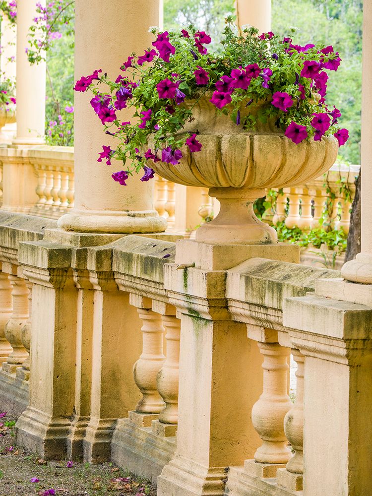 Portugal-Aveiro-Parque Dom Pedro Infante in Aveiro-Stone balustrade with pergola and columns art print by Julie Eggers for $57.95 CAD