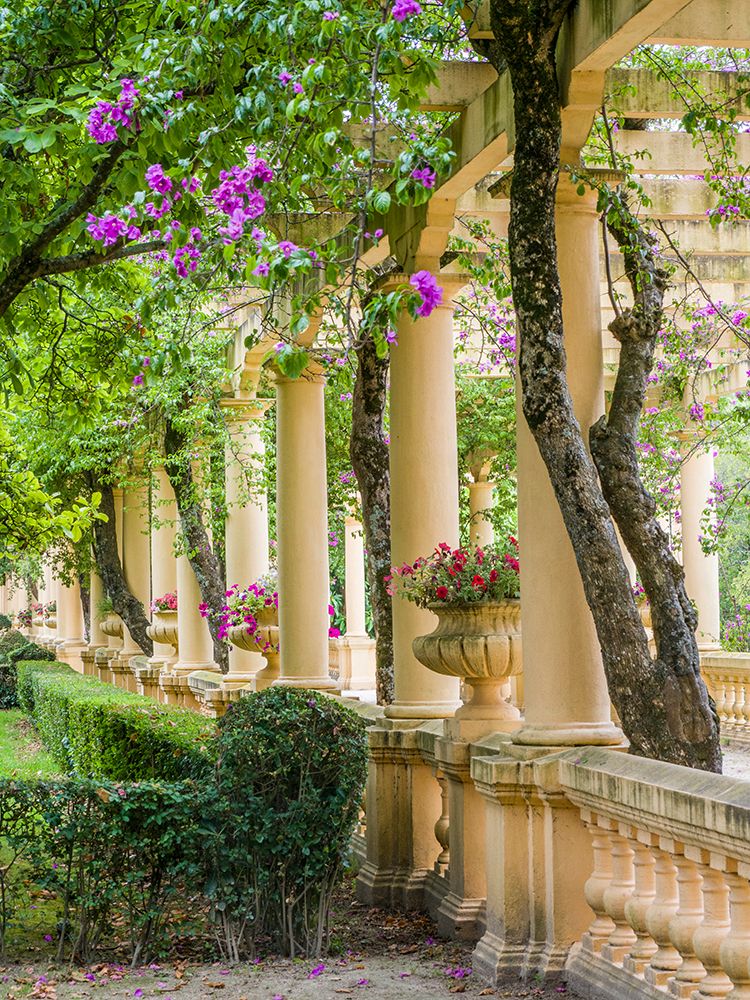 Portugal-Aveiro-Parque Dom Pedro Infante in Aveiro-Stone balustrade with pergola and columns art print by Julie Eggers for $57.95 CAD