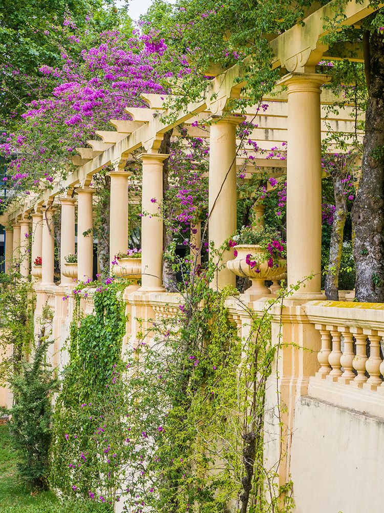 Portugal-Aveiro-Parque Dom Pedro Infante in Aveiro-Stone balustrade with pergola and columns art print by Julie Eggers for $57.95 CAD