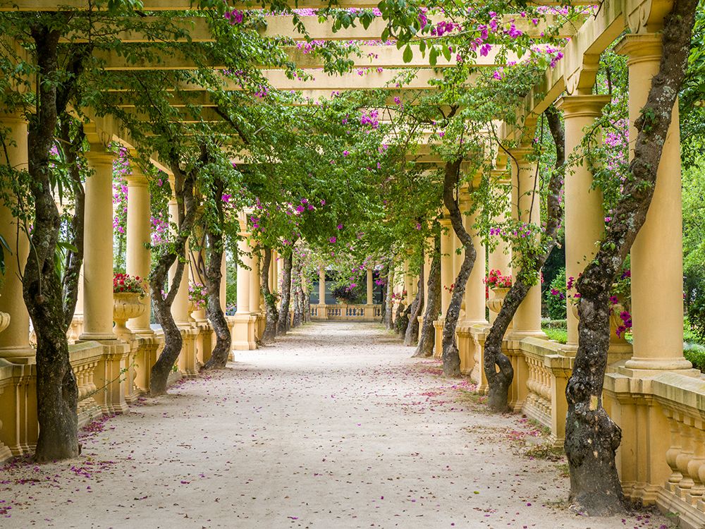 Portugal-Aveiro-Parque Dom Pedro Infante in Aveiro-Stone balustrade with pergola and columns art print by Julie Eggers for $57.95 CAD