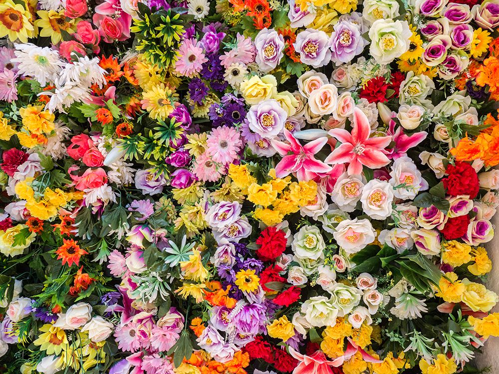 Portugal-Lisbon-The San Antonio wall flowers near the entrance of the Museu de Lisboa art print by Julie Eggers for $57.95 CAD