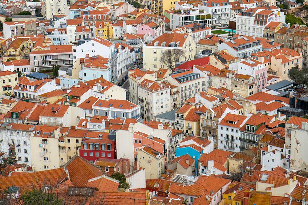 Lisbon- Portugal. View of beautiful Lisbon with its ancient buildings. art print by Julien McRoberts for $57.95 CAD