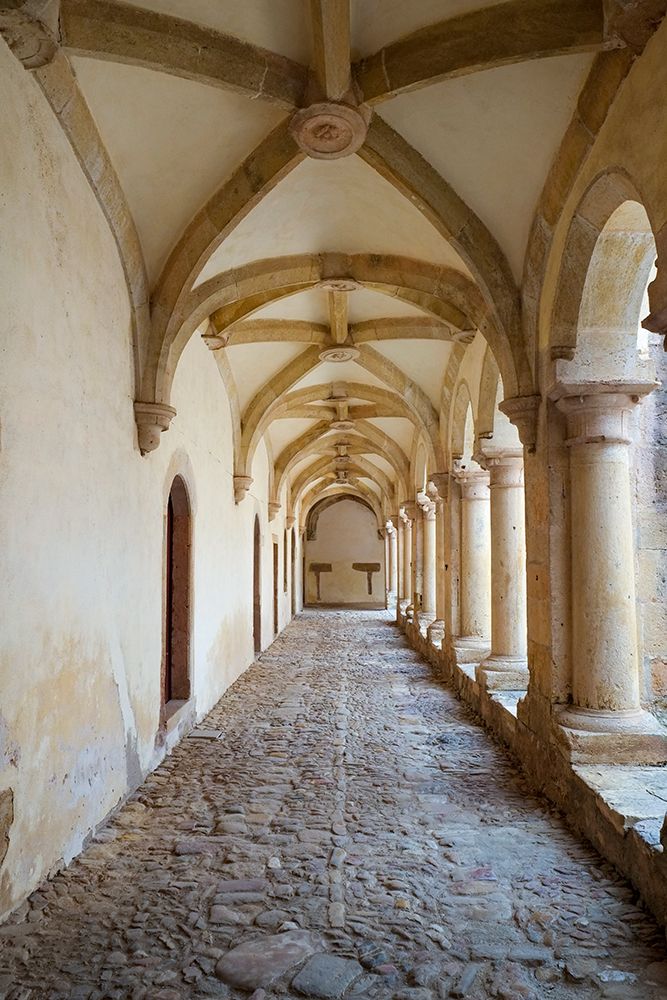 Tomar, Portugal. Tomar castle, home to the Convento de Christo. Regal stone carved shield. art print by Julien McRoberts for $57.95 CAD
