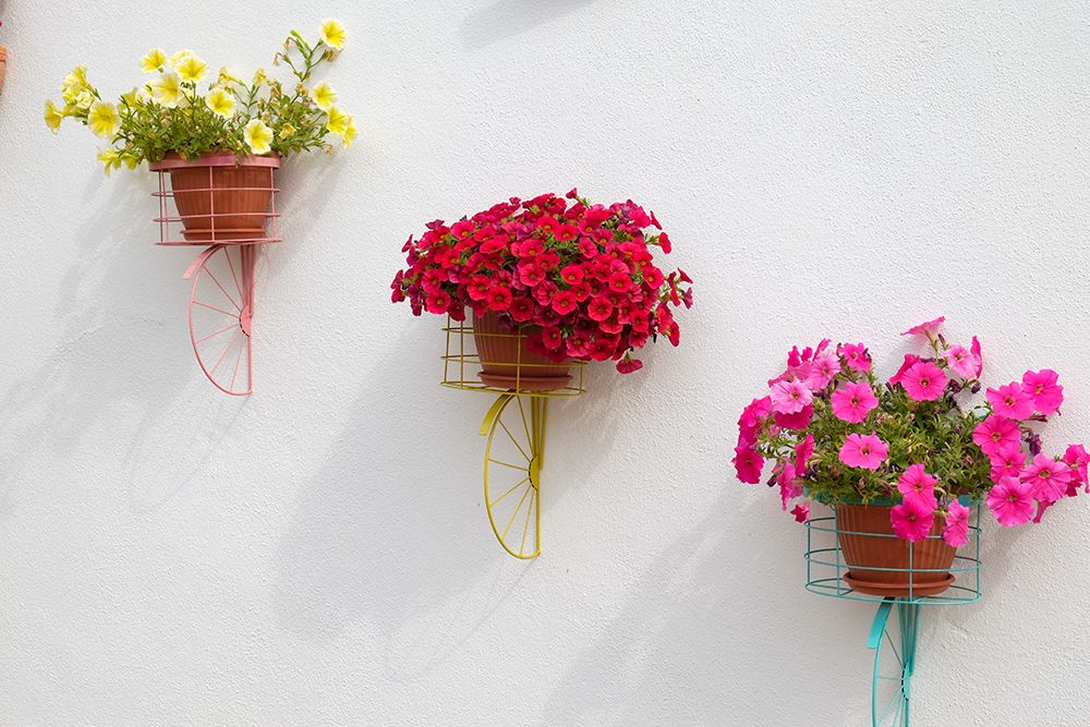 Tomar, Portugal. Pots of colorful flowers blooming in the summer on the street. art print by Julien McRoberts for $57.95 CAD