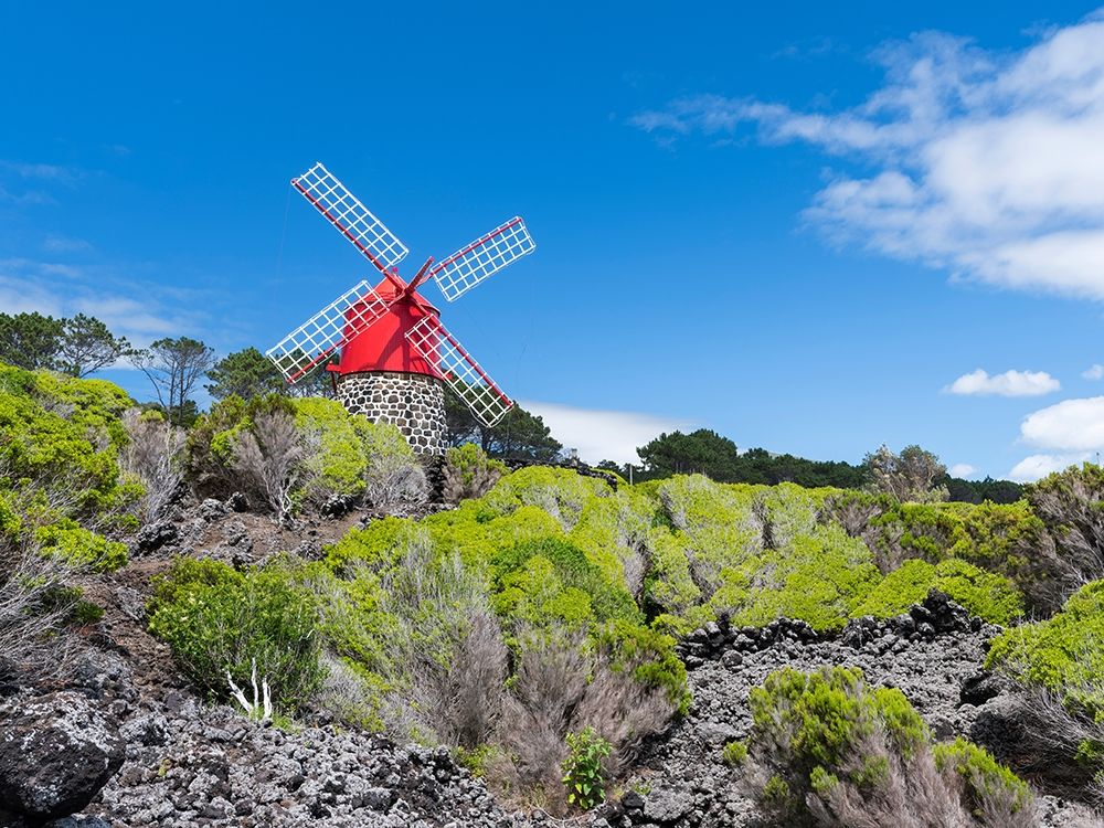 Traditional windmill near Sao Joao Pico Island-an island in the Azores in the Atlantic Ocean art print by Martin Zwick for $57.95 CAD