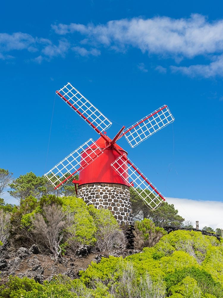 Traditional windmill near Sao Joao Pico Island-an island in the Azores in the Atlantic Ocean art print by Martin Zwick for $57.95 CAD