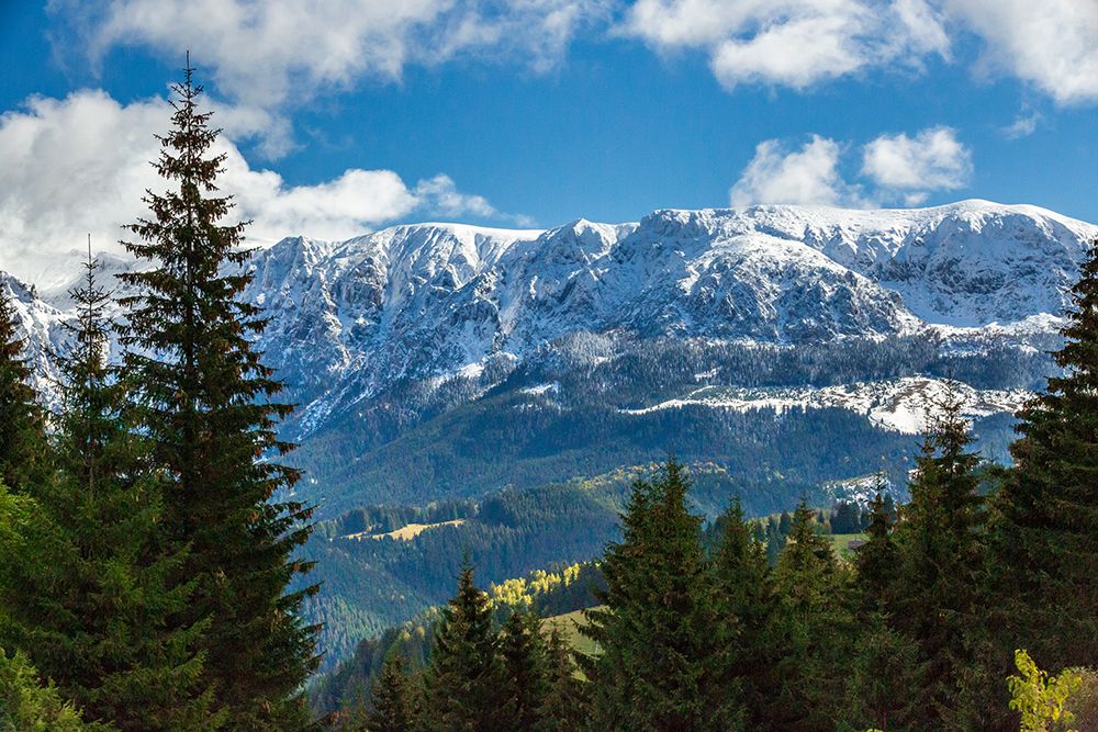 Romania-Transylvania-Carpathian Mountains Hillside art print by Emily M. Wilson for $57.95 CAD