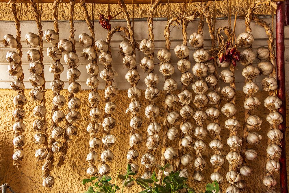 Romania-Carpathian Mountains-Prahova County-Sinaia Braids of Garlic drying art print by Emily M. Wilson for $57.95 CAD