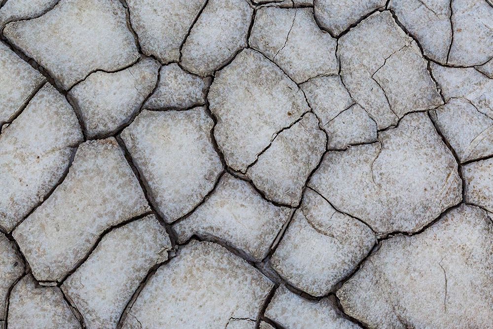 Romania, , Berca. Geological, botanical reservation Vulcanii Noroiosi de la Paclele Mici. art print by Emily M. Wilson for $57.95 CAD