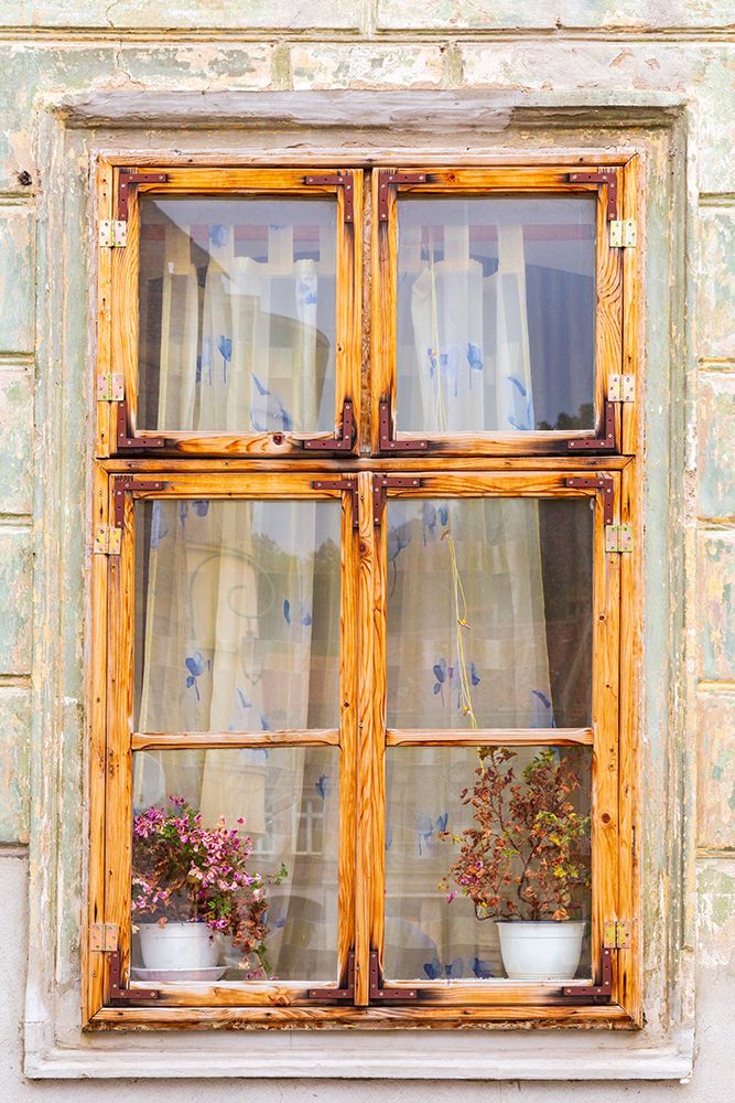 Romania, Bucharest. Window with flowering plants. art print by Emily M. Wilson for $57.95 CAD