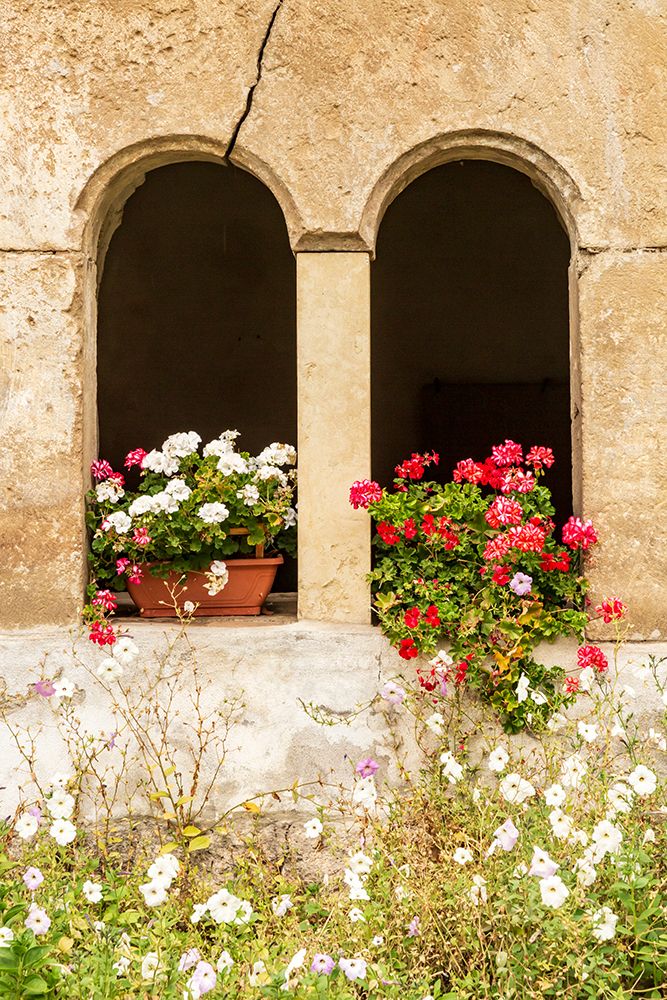 Romania, Transylvania, Sibiu County. Flowers art print by Emily M. Wilson for $57.95 CAD