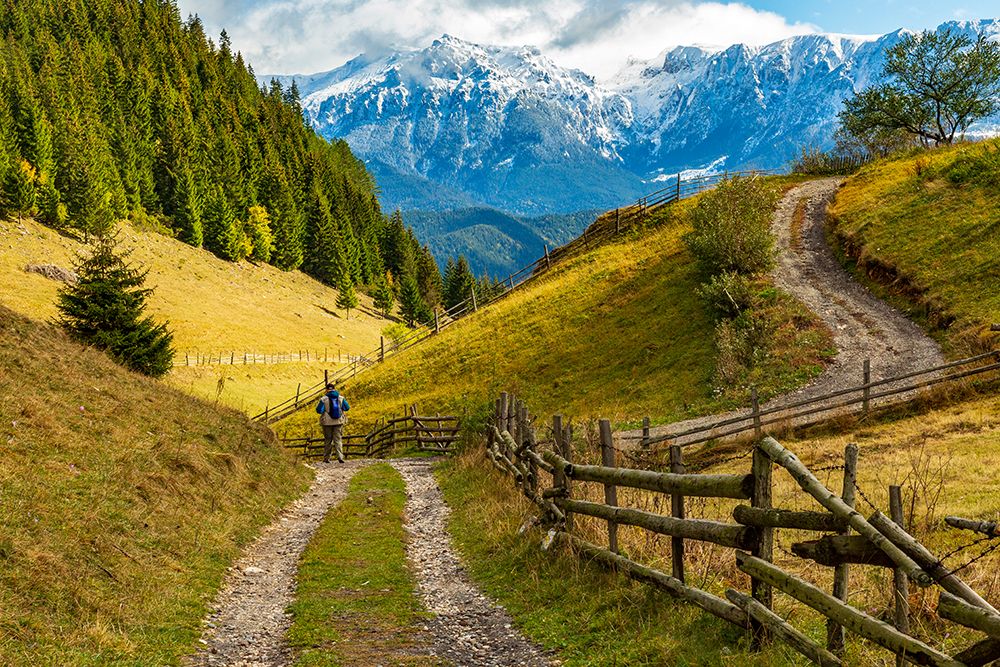 Romania, Transylvania, Carpathian Mountains. Hiking trails, fields. art print by Emily M. Wilson for $57.95 CAD