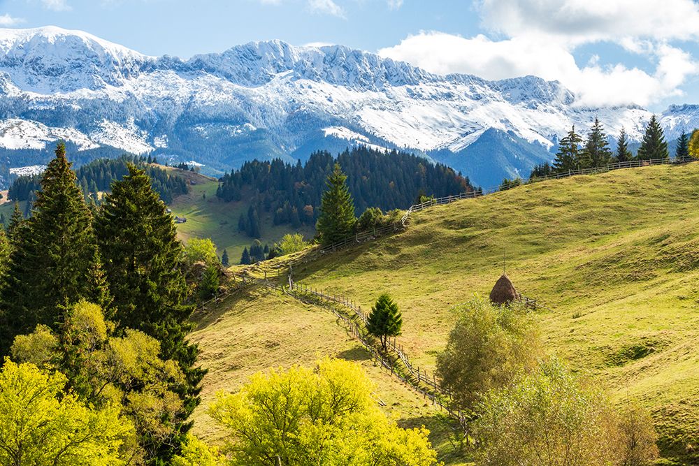 Romania, Transylvania, Carpathian Mountains. Hiking trails, fields. art print by Emily M. Wilson for $57.95 CAD