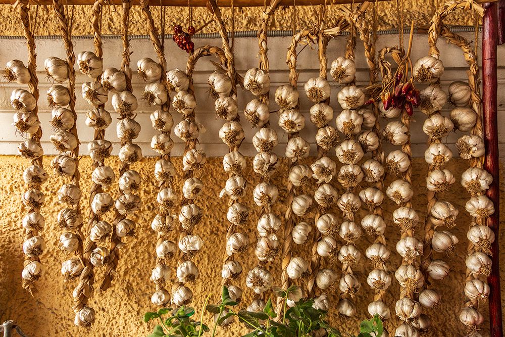 Romania, Carpathian Mountains, Prahova County, Sinaia. Braids of Garlic drying. art print by Emily M. Wilson for $57.95 CAD