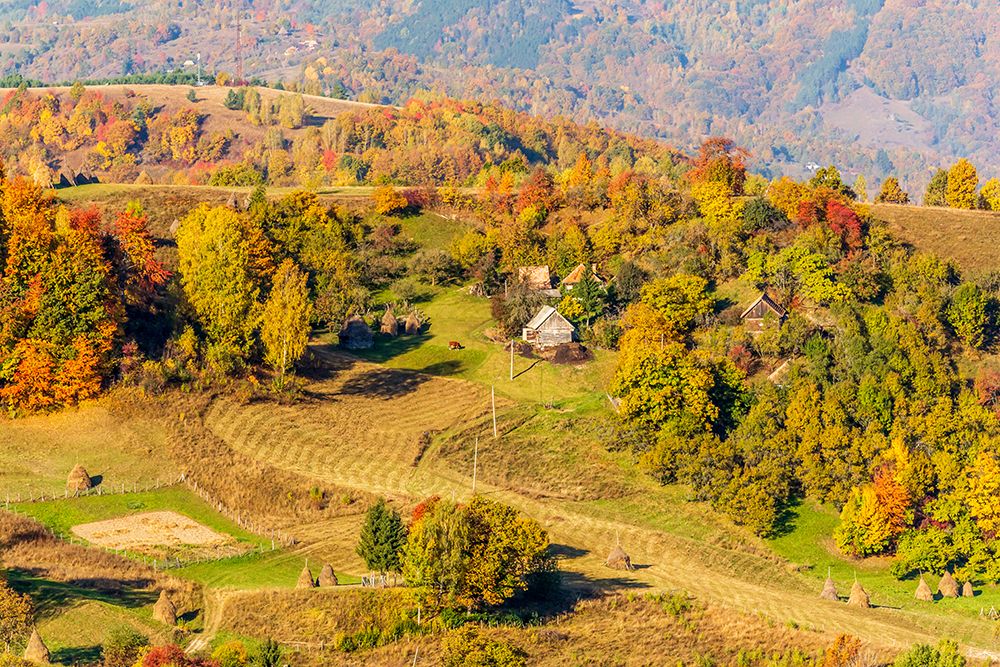 Romania, Alba County, Rimetea, Trascau Mountains. art print by Emily M. Wilson for $57.95 CAD