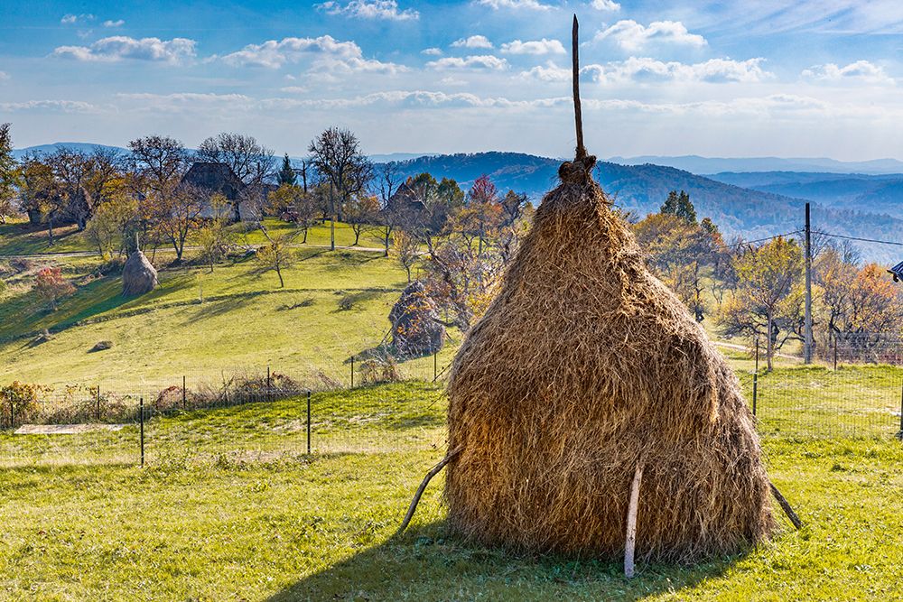 Romania, Transylvania, Aspra Traditional hay stacks. art print by Emily M. Wilson for $57.95 CAD