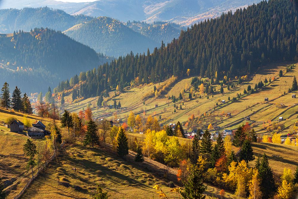 Romania, Prahova County, Bucegi Mountains, Busteni. Rural farms. Territorial view. art print by Emily M. Wilson for $57.95 CAD