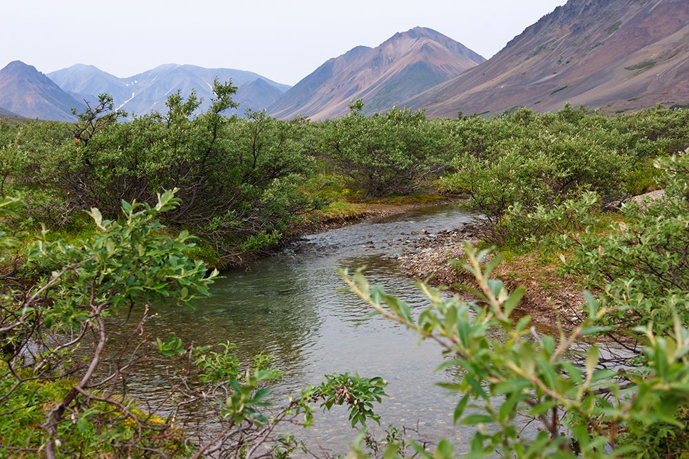 Glacier river-Yttygran Island-Bering Sea-Russia Far East art print by Keren Su for $57.95 CAD