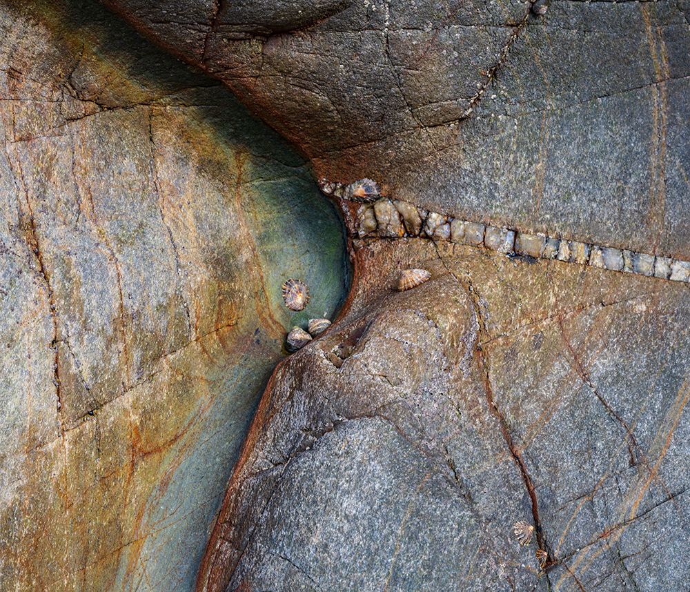 Spain, Playa del Silencio. Close-up of rock patterns. art print by Jaynes Gallery for $57.95 CAD