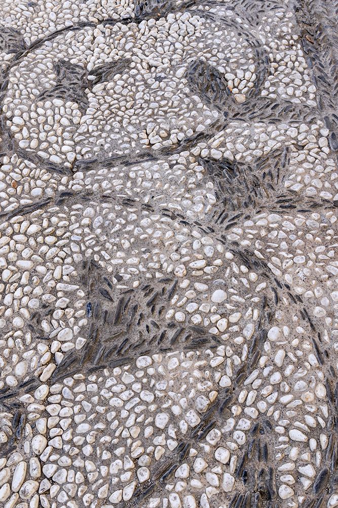 Albaicin, Province of Granada, Andalusia, Spain. A vine pattern on a sidewalk. art print by Emily M. Wilson for $57.95 CAD