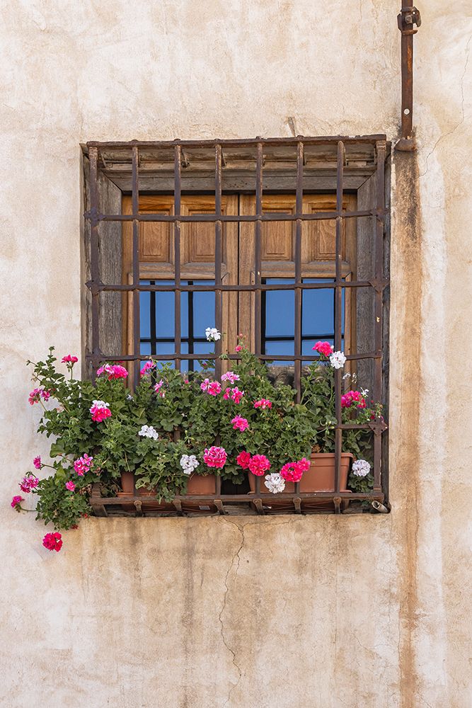 Albaicin, Province of Granada, Andalusia, Spain. Flowers in pots at a barred window. art print by Emily M. Wilson for $57.95 CAD