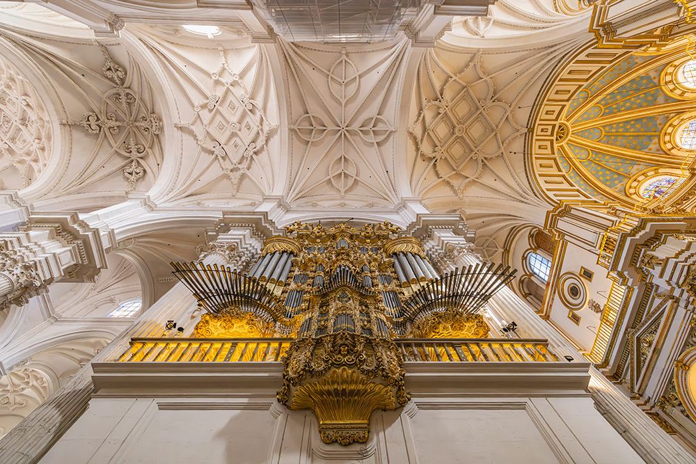 Albaicin, Province of Granada, Andalusia, Spain. Organ and ceiling in the Granada Cathedral. art print by Emily M. Wilson for $57.95 CAD