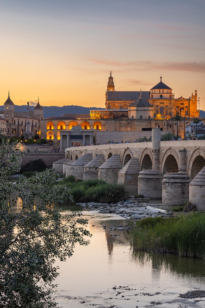 Sur District, Cordoba, Andalusia, Spain. Evening view of San Rafael Bridge and Cordoba Cathedral. art print by Emily M. Wilson for $57.95 CAD