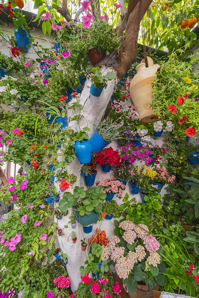 Centro District, Cordoba, Andalusia, Spain. Courtyard garden of a home art print by Emily M. Wilson for $57.95 CAD