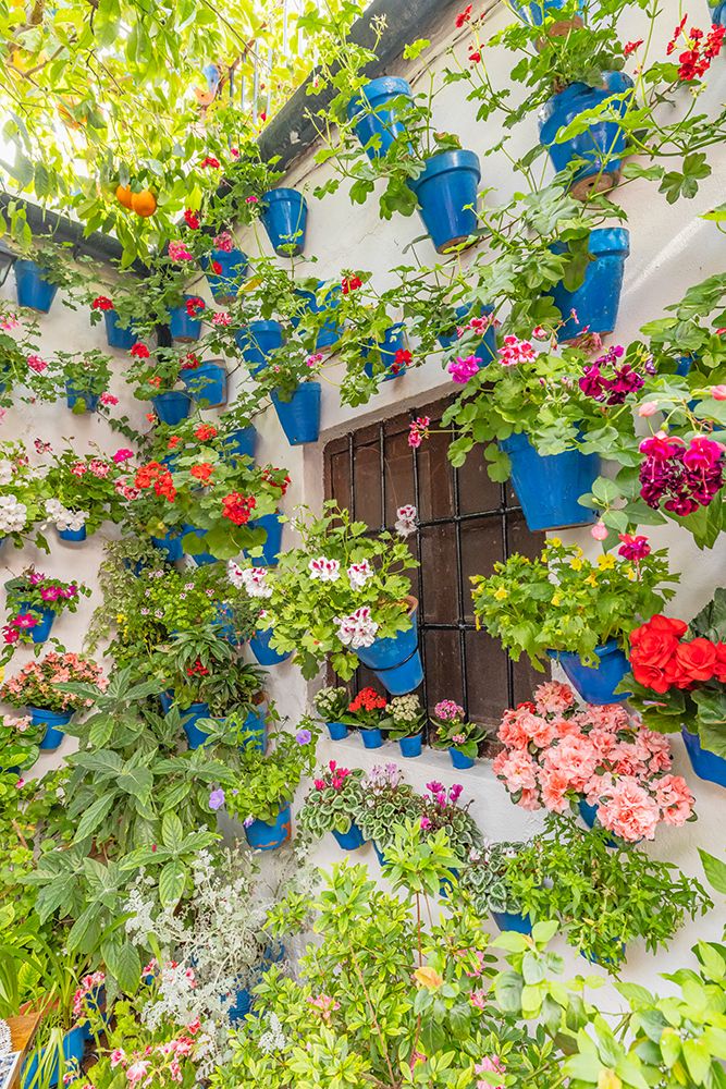 Centro District, Cordoba, Andalusia, Spain. Courtyard garden of a home art print by Emily M. Wilson for $57.95 CAD