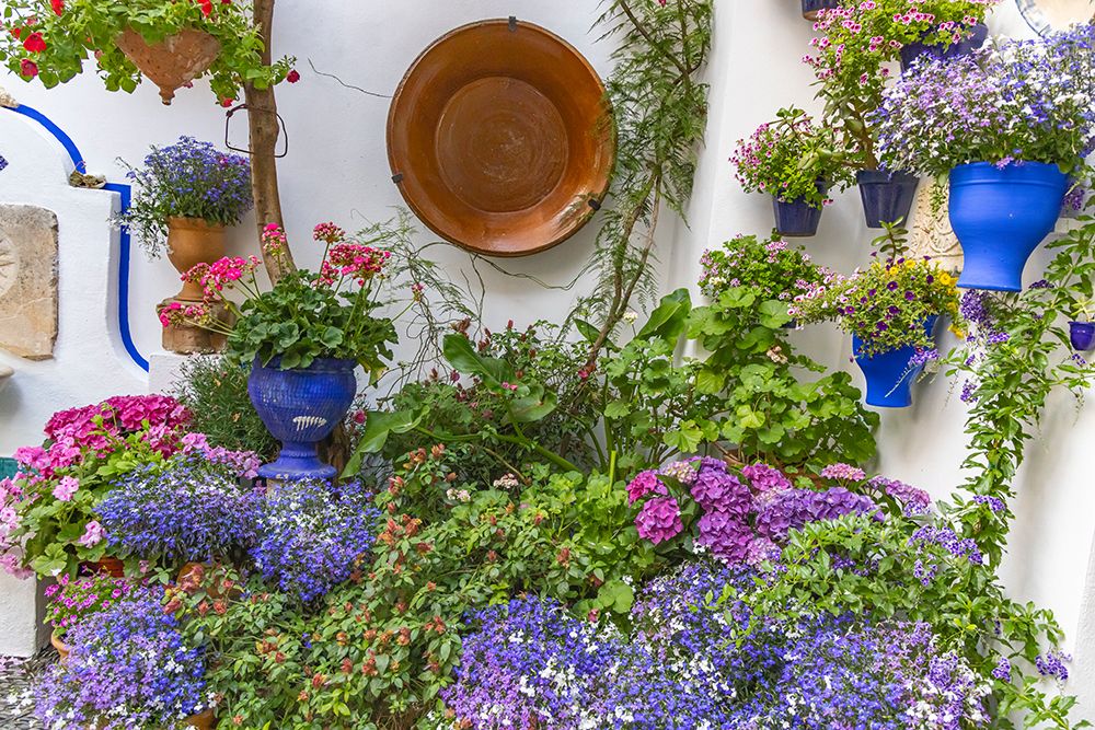 Centro District, Cordoba, Andalusia, Spain. Courtyard garden of a home art print by Emily M. Wilson for $57.95 CAD
