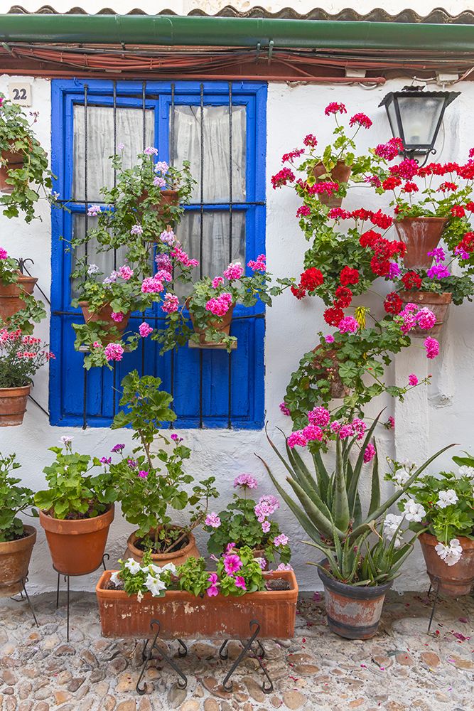 Centro District, Cordoba, Andalusia, Spain. Courtyard garden of a home art print by Emily M. Wilson for $57.95 CAD