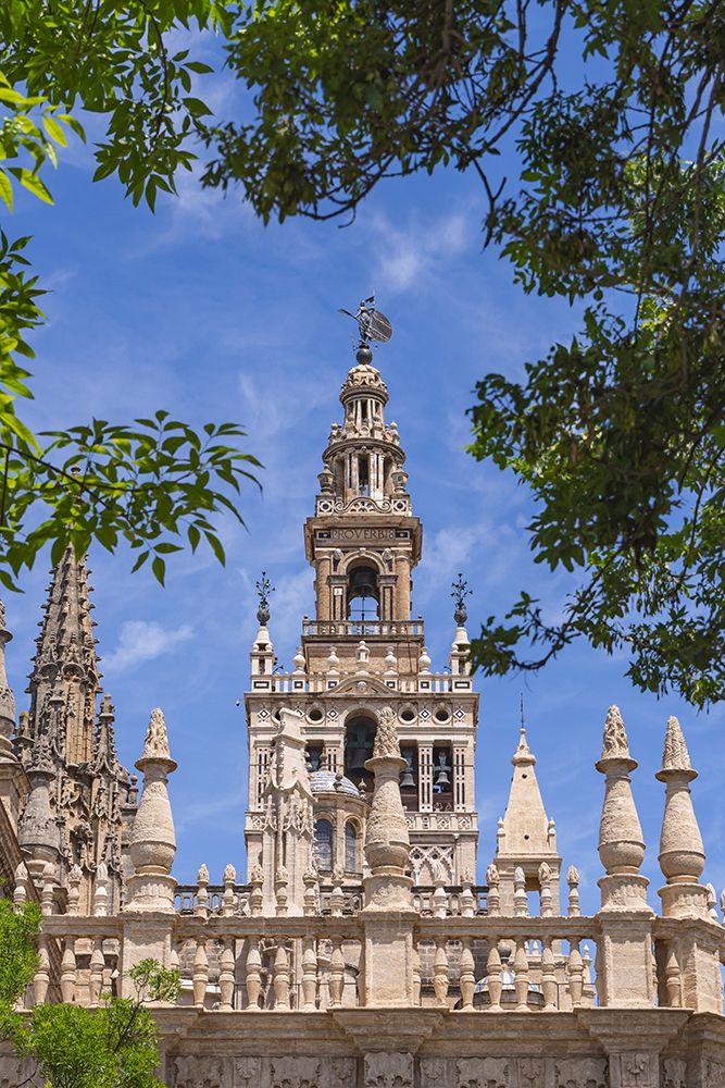 Casco Antiguo, Seville, Andalusia, Spain. Bell tower of the Seville Cathedral. art print by Emily M. Wilson for $57.95 CAD
