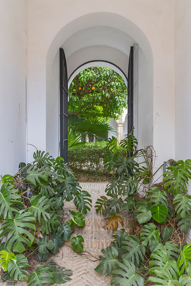 Casco Antiguo, Seville, Andalusia, Spain. Window to a garden at the Alcazar of Seville. art print by Emily M. Wilson for $57.95 CAD