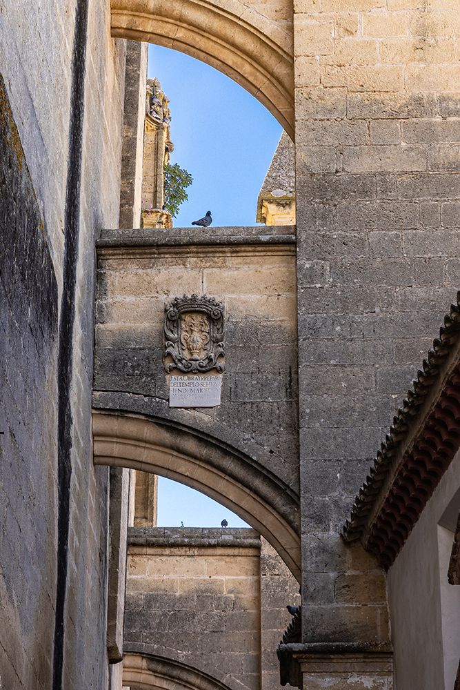 Arcos de la Frontera, Seville Province, Andalusia, Spain. A flying buttress on Saint Marys Church. art print by Emily M. Wilson for $57.95 CAD