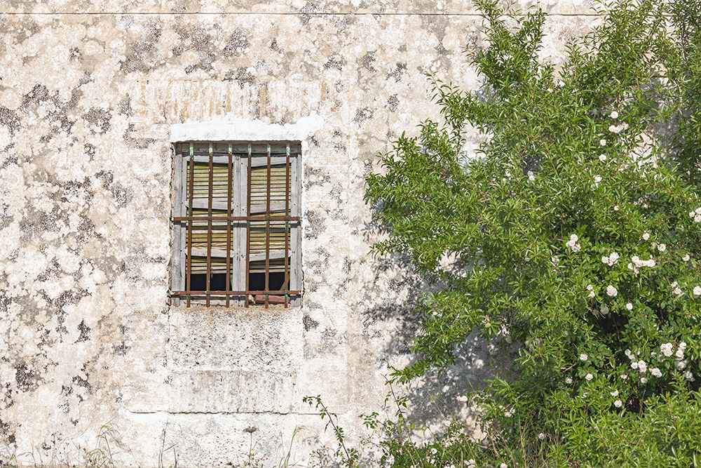 Montefrio, Granada, Andalusia, Spain. A barred window on an old stucco building. art print by Emily M. Wilson for $57.95 CAD